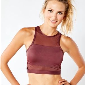 Above the Clouds Crop